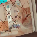 ☁‟  i u cu emm??