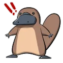 The Platypus's Den