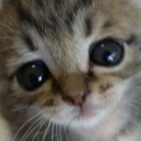 manchester Discord server icon