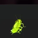 ROACH CULT