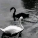 ᴇꜱᴘɪᴏɴᴀɢᴇ • ᴄʜɪʟʟ • ᴄʜᴀᴛ • ꜰʀɪᴇɴᴅʟʏ • ꜰᴜɴ