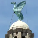 Kurzgesagt meetup Liverpool
