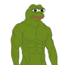 absolute-chads's icon