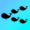 Whale Fleet