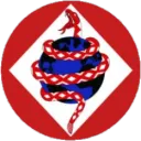 (Shut Down 05/26/24) VF(A)-102 "Diamondbacks" RP