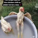 The Chill Pot