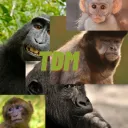 TDM |Tropa do macaco🚬