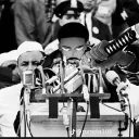 Monkey Jungle Discord Server Icon