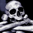 The Boneyard