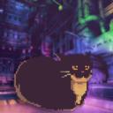 Blackhu | Birodalma
