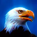 Eagle Craft