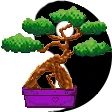 XYN GARDEN
