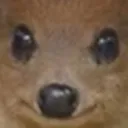 Tomfoolery central Discord Server Icon