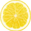 The Lemonade Stand