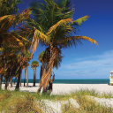 Discovery icon for South Florida Discord server