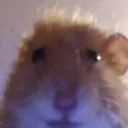Twitch RataeIa
