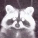 👾 𝙛𝙞𝙭 𝙘𝙡𝙪𝙗
