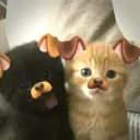 YAT ESMER KALK KIZILLAR #HLWN