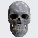 check general chat New Server