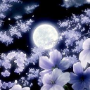 Dream Haven 18+ Server Icon