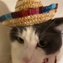 Chris's basement Discord server icon