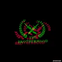 ᴛʜᴇ ʙʀᴏᴛʜᴇʀʜᴏᴏᴅ ɢᴀᴍɪɴɢ™ discord icon