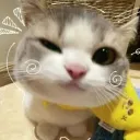 내도💚