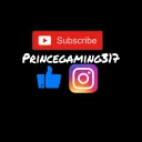 princgaming317's server