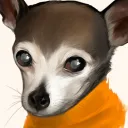 Chihuahua Kingdom