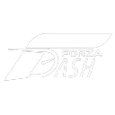 Team ForzaDash
