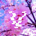 VortX Discord Server Icon