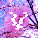 VortX