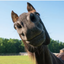 Chiriyakhana Discord server icon