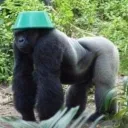 King Of The Jungle
