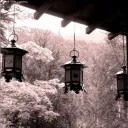 𝘌𝘶𝘱𝘩𝘰𝘳𝘪𝘢 ᯓ Discord Server Icon