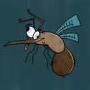Angry Mosquitoes