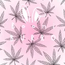 𝐓𝐡𝐞 𝐁𝐨𝐨𝐧𝐢 𝐁𝐮𝐫𝐫𝐨
