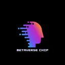 METAVERSE CHIP