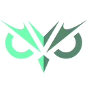 Team Vision