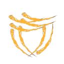Horizon Raid 2023 / ASC 2026 Discord Server Icon
