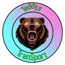 Teddy transport uk server