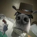 Zeus Discord Server Icon