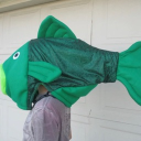 Feesh land