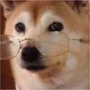 language-exchange-for-gamers-disboard-discord-server-list