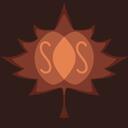 System Solstice Discord Server Icon