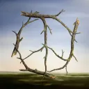 PEACE™