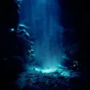 :: DEEP ZEA LAGOON ::