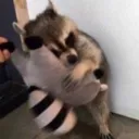 れあのサーバー