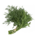 UcropCraft