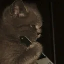 βΰ¦ΰ§£ππππππππ ππππππππππππΰ¦β